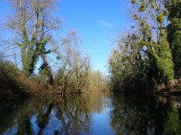 Groschenwasser, Februar 2026